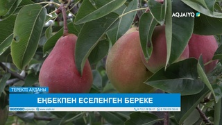 ЕҢБЕКПЕН ЕСЕЛЕНГЕН БЕРЕКЕ