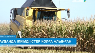 АУДАНДА ІЛКІМДІ ІСТЕР ҚОЛҒА АЛЫНҒАН 