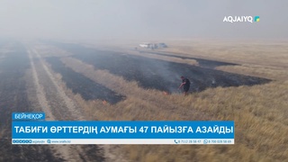 ТАБИҒИ ӨРТТЕРДІҢ АУМАҒЫ 47 ПАЙЫЗҒА АЗАЙДЫ