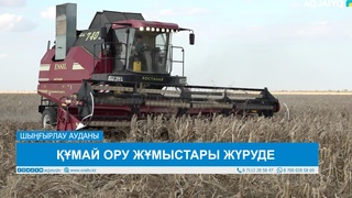 ҚҰМАЙ ОРУ ЖҰМЫСТАРЫ ЖҮРУДЕ 
