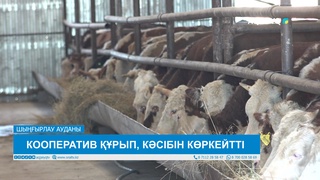КООПЕРАТИВ ҚҰРЫП, КӘСІБІН КӨРКЕЙТТІ 
