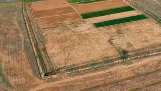 ТӘЛІМБАҚТАР КӨРКЕЙІП КЕЛЕДІ
