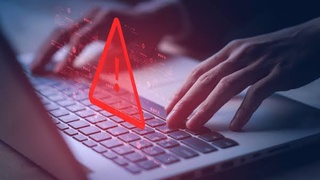 АЛАЯҚТЫҚТЫҢ ЖАҢА ТҮРІ: АЙМАҚТА 6 «АКТИВАТОР» АНЫҚТАЛДЫ