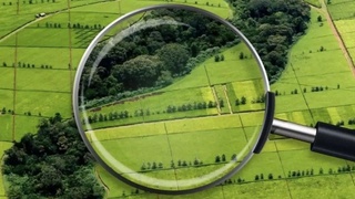 БИЫЛ 120 МЫҢ ГЕКТАР ЖЕР МЕМЛЕКЕТ МЕНШІГІНЕ ҚАЙТАРЫЛДЫ