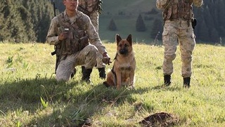 БҮГІН - ШЕКАРАШЫЛАР КҮНІ
