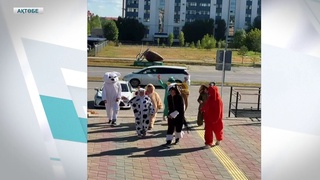 ДАУЫС БЕРУГЕ ЕРЕКШЕЛЕНІП КЕЛГЕНДЕР КӨП 