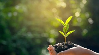 ТАЗА ҚАЗАҚСТАН: МЕКТЕП ЖАНЫНДАҒЫ БАҚША ӨНІМДЕРІ ОҚУШЫЛАРҒА ТАРАТЫЛДЫ