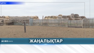 ВЕТЕРИНАРИЯ САЛАСЫНА ЦИФРЛЫҚ ЖҮЙЕ ЕНГІЗІЛІП ЖАТЫР