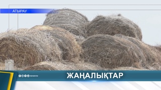 В ВЕТЕРИНАРНУЮ ОТРАСЛЬ ВНЕДРЯЮТ ЦИФРОВУЮ СИСТЕМУ