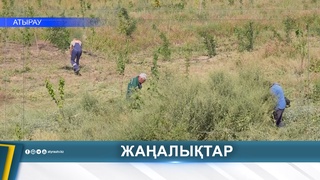 НЕДОСТАТКИ В УХОДЕ ЗА ДЕРЕВЬЯМИ ВЫЯВИЛИ В АТЫРАУ