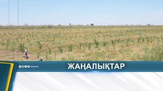 КӨГАЛДАНДЫРУ ЖҰМЫСТАРЫНАН КЕМШІЛІКТЕР АНЫҚТАЛДЫ
