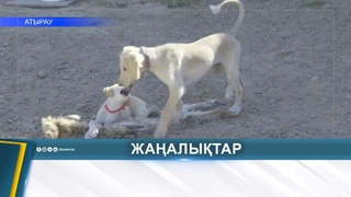 БҮГІН - ҚАЗАҚЫ ТАЗЫ КҮНІ 