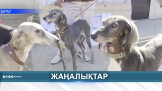 В КАЗАХСТАНЕ ВПЕРВЫЕ ОТМЕЧАЮТ ДЕНЬ КАЗАХСКОЙ ТАЗЫ 