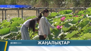 ЖАЙЫҚТА ГҮЛДЕГЕН ЛОТОС: СУ ЭКОЖҮЙЕСІНЕ ЗИЯНЫ БАР МА?