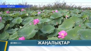 МОЛОДЁЖЬ ПРИСОЕДИНИЛАСЬ К ЭКОЛОГИЧЕСКОЙ АКЦИИ
