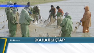ОСЕННИЙ СЕЗОН РЫБНОЙ ЛОВЛИ СТАРТОВАЛ В РЕГИОНЕ