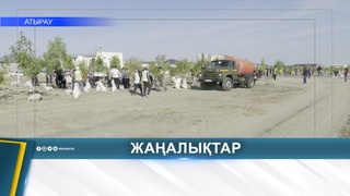 «ТАЗА ҚАЗАҚСТАН»: 600 КӨШЕТ ОТЫРҒЫЗЫЛДЫ