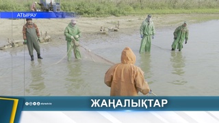 АТЫРАУДА 46 МИЛЛИОННАН АСТАМ БАЛЫҚ ҚҰТҚАРЫЛДЫ