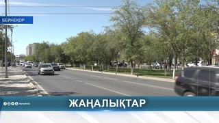 ӘЛЕУМЕТТІК ЖОБАЛАР: ҚОЛДАУ МЕН НӘТИЖЕ