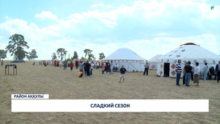 Сладкий сезон 