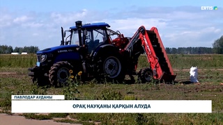 Орақ науқаны қарқын алуда