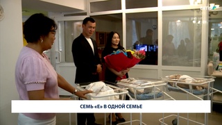 Семь «Е» в одной семье