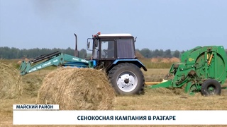 Сенокосная кампания в разгаре