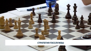 Стратегия госслужбы 