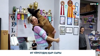Ит үйретудің қыр-сыры