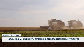Облыс әкімі Шарбақты ауданындағы орақ науқанын тексерді 