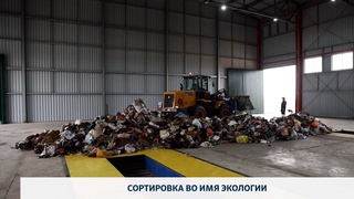 Сортировка во имя экологии