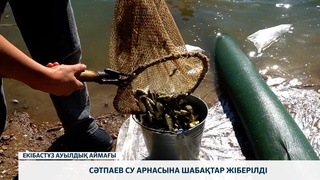Сәтпаев су арнасына шабақтар жіберілді