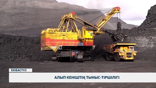 Алып кеніштің тыныс-тіршілігі