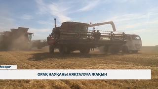 Орақ науқаны аяқталуға жақын