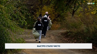 Быстро стало чисто
