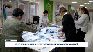 29 ноября - выборы депутатов маслихатов всех уровней