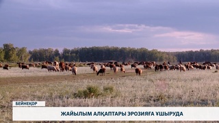 Жайылым алқаптары эрозияға ұшыруда