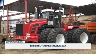 Егін бітік, техника сақадай сай