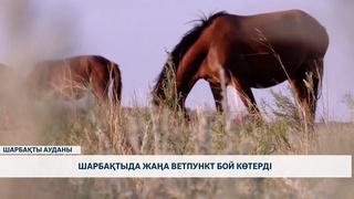 Шарбақтыда жаңа ветпункт бой көтерді