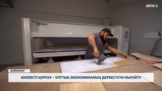 Бизнесті қорғау – ұлттық экономиканың дербестігін нығайту
