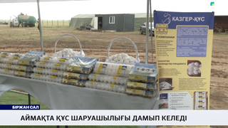 Аймақта құс шаруашылығы дамып келеді