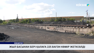 Жыл басынан бері қалаға 225 вагон көмір жеткізілді