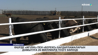 Өңірде «Игілік» пен «Береке» бағдарламаларын дамытуға 26 миллиард теңге бөлінді