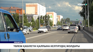 Төлем қабілетін қалпына келтірудің жолдары