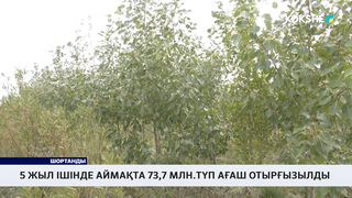 5 жыл ішінде аймақта 73,7 млн.түп ағаш отырғызылды 