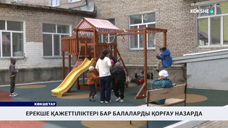 Ерекше қажеттіліктері бар балаларды қорғау назарда