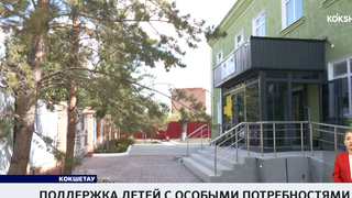 Поддержка детей с особыми потребностями 