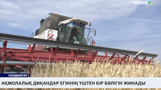 Ақмолалық диқандар егіннің үштен бір бөлігін жинады 