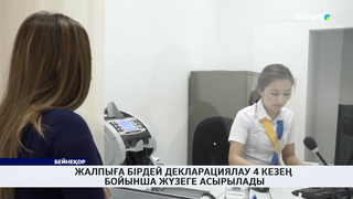 Жалпыға бірдей декларациялау 4 кезең бойынша жүзеге асырылады