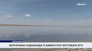 Қорғалжын ауданында Flamingo fest фестивалі өтті
